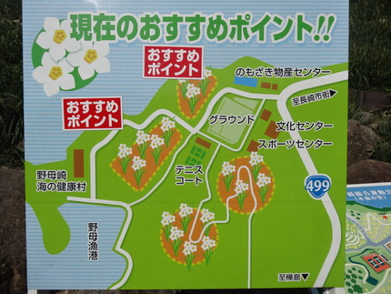 10-�����DSC00549