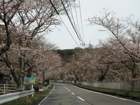 2023.03.25 諌早市多良見町 古川バス停P1018599