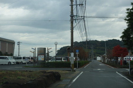 3-がじゅまるDSC02579