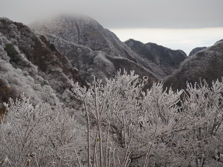 2022.12.03 ±ÀÀç¿ÎÅÄÆ½¡¢Ì¯¸«³Ù¡¡Ì¸É¹P1011786