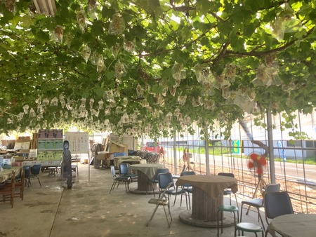 ����ʡ����꡼�֤ɤ���IMG_4975