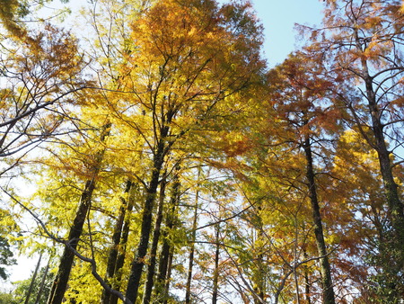 2021.11.14 �����ݻԡ��彽����ư��ʪ�ࡡ�������PB136653