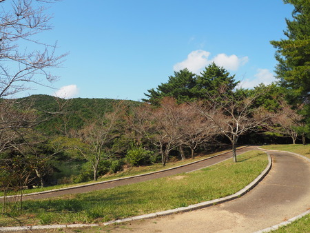 2022.10.28���׳��ֿ����PA232475