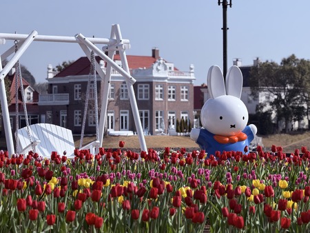 �ϥ����ƥ�ܥ�IMG_7826