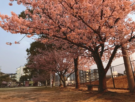 2022.03.04 大村市 久原公園IMG_0339