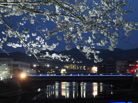 2023.03.31��Ĺ��ԡ�ȬϺ��κ�����P1010974