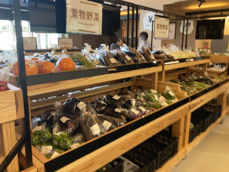 2025.07.21�����ᡡƻ�αء�251������ꤸ�㤬��������IMG_8138