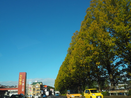 2021.11.14  ����PB136099