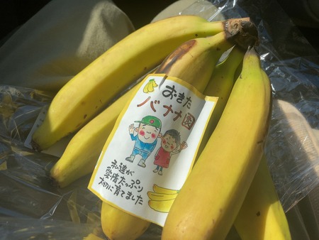 2025.08.16¡¡Âç¼»Ô¡¡¤ª¤¤¿¥Ð¥Ê¥Ê±àIMG_1313