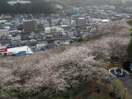 2023.03.25 長与町 中尾城公園P1019025
