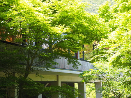 ���帶�ȥ쥤�륻�󥿡�P1012219