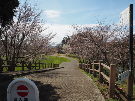 2023.03.24 諌早市 白木峰高原P1018315