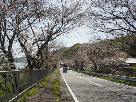 2024.03.30 多良見古川バス停P3290034