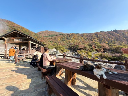 �����Ϲ�ǭIMG_2892