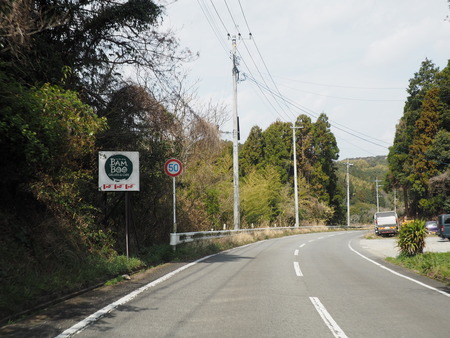 2023.03.22 大村市東大村 松本さん宅の桃の花P1017386