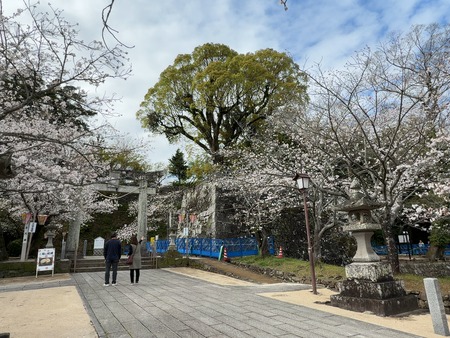 ��¼�ԡ��ߥ�����IMG_7190