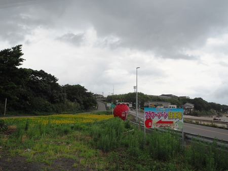 2021.07.07����Ծ�Ĺ��Į�����ե롼�ĥХ���P7078644