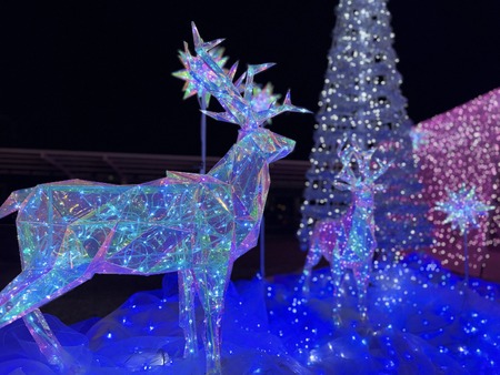 ��������¼ŹIIMG_7980