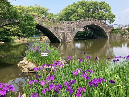 2022.05.24���������IMG_8223