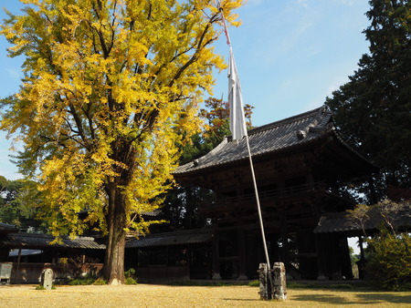 2021.11.21������ԡ�ŷʹ��PB187275