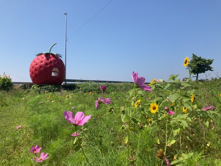 伊崎バス停IMG_0034