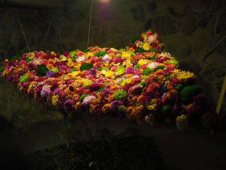 եƥȡҤܤPA141638