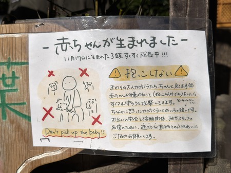 Ĺ��Х����ѡ��������ԥХ�IMG_0341