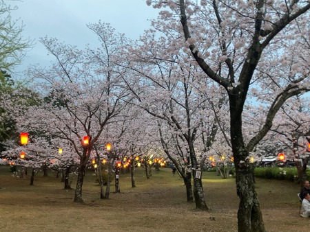 2024.04.03 雲仙市橘神社IMG_8511