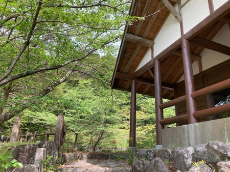 2025.07.19�����ὤ¿��ο������߾�IMG_1272