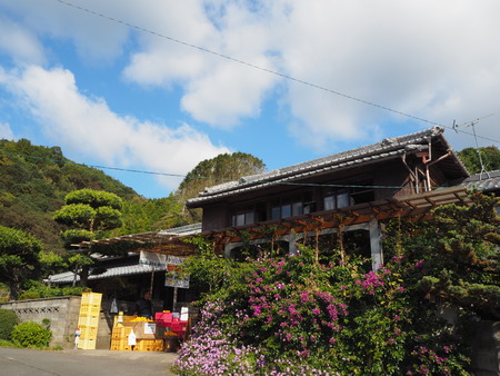 9-長崎市田中町 みかん山の収穫祭PB043929