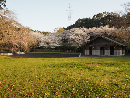 2023.03.26 大村市 岳の木場公園P1010373