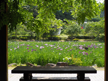 2024.05.25 佐々町 皿山公園P5256661