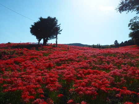 ĹԶ׳ΤֱֲPA021442