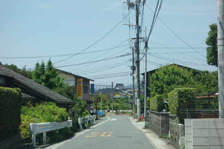 3-¤È¤¹ÌÍÇ·²ðDSC06414