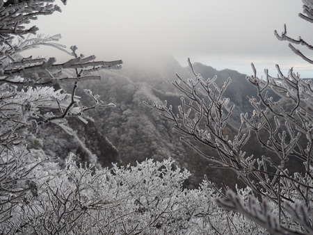 2022.12.03 ±ÀÀç¿ÎÅÄÆ½¡¢Ì¯¸«³Ù¡¡Ì¸É¹P1011800