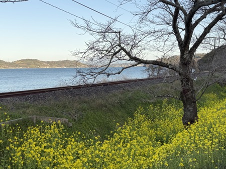 ¿�ɸ�Į����Х���κڤβ�IIMG_3083