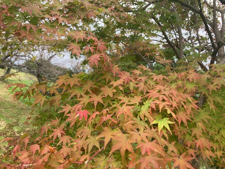 2023.09.30������ԡ��������⸶IMG_9984