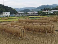 46-DSCF0645