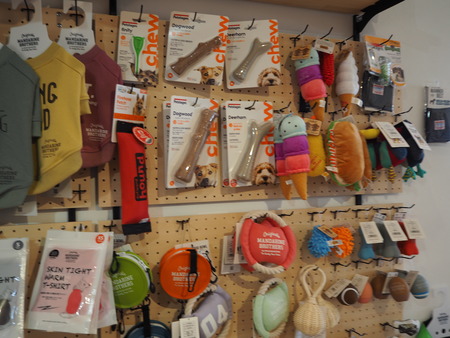 2021.09.25¡¡±ÀÀç»Ô¹ñ¸«Ä®¡¡rain P9160989