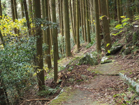 2022.11.22 東彼杵町 龍頭泉P1010117