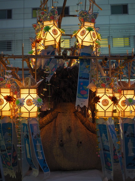 2024.08.25���縶��ޤĤ�P8250058