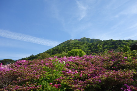 6-�������ƽDSC00072