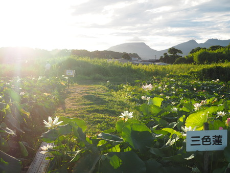 2025.07.26������ϥ���P7270023