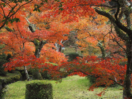 2024.11.22 多久市 西渓公園PB170059