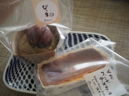 2021.09.25¡¡¥Þ¥ë¥³P9242545