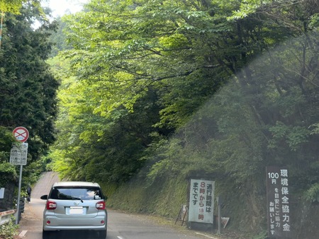 �������ƽ�Υߥ�ޥ��ꥷ��IMG_7386