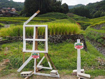 ȺĮêĤޤĤꭣP9241224