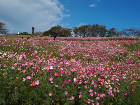 2023.10.13�����ᡡ�������⸶PA131469