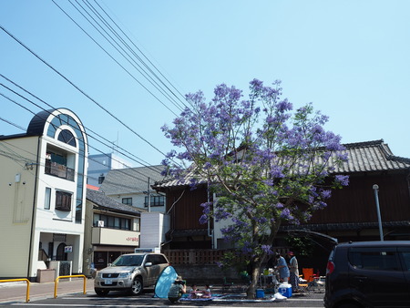 4-雲仙市小浜温泉 ジャカランダPP6070216