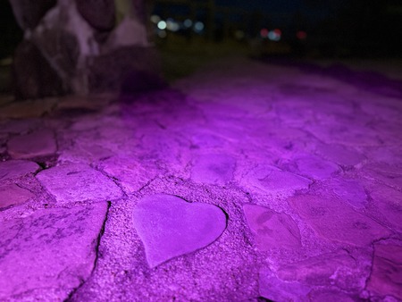 �쥰��С����𡡥ϡ��ȥ��ȡ���IMG_9595